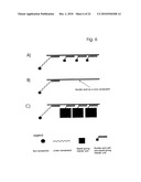 COMPONENTS AND METHOD FOR ENZYMATIC SYNTHESIS OF NUCLEIC ACIDS diagram and image