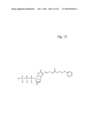 COMPONENTS AND METHOD FOR ENZYMATIC SYNTHESIS OF NUCLEIC ACIDS diagram and image