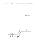 COMPONENTS AND METHOD FOR ENZYMATIC SYNTHESIS OF NUCLEIC ACIDS diagram and image