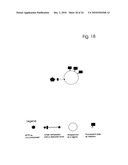 COMPONENTS AND METHOD FOR ENZYMATIC SYNTHESIS OF NUCLEIC ACIDS diagram and image