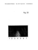 COMPONENTS AND METHOD FOR ENZYMATIC SYNTHESIS OF NUCLEIC ACIDS diagram and image