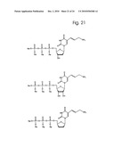 COMPONENTS AND METHOD FOR ENZYMATIC SYNTHESIS OF NUCLEIC ACIDS diagram and image