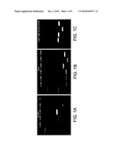 COMPOSITIONS AND METHODS FOR DETECTING MYCOBACTERIA diagram and image