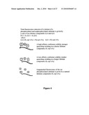 Fluorescence Lifetime and Fluorescence Assays diagram and image