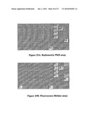 Fluorescence Lifetime and Fluorescence Assays diagram and image