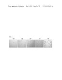 METHOD FOR DETECTING PREMATURE SENESCENCE IN TUMOR CELLS AND A KIT FOR DETECTING PREMATURE SENESCENCE IN TUMOR CELLS diagram and image