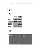 METHOD FOR DETECTING PREMATURE SENESCENCE IN TUMOR CELLS AND A KIT FOR DETECTING PREMATURE SENESCENCE IN TUMOR CELLS diagram and image