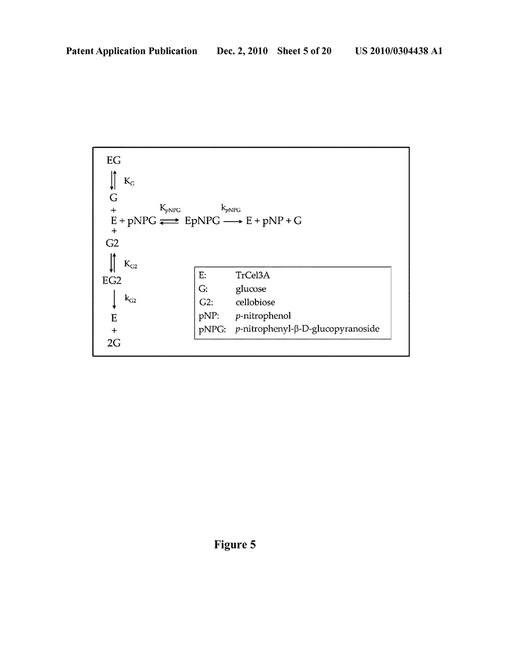 NOVEL BETA-GLUCOSIDASE ENZYMES - diagram, schematic, and image 06
