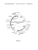 NOVEL BETA-GLUCOSIDASE ENZYMES diagram and image