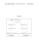 METHOD OF AMPLIFICATION diagram and image