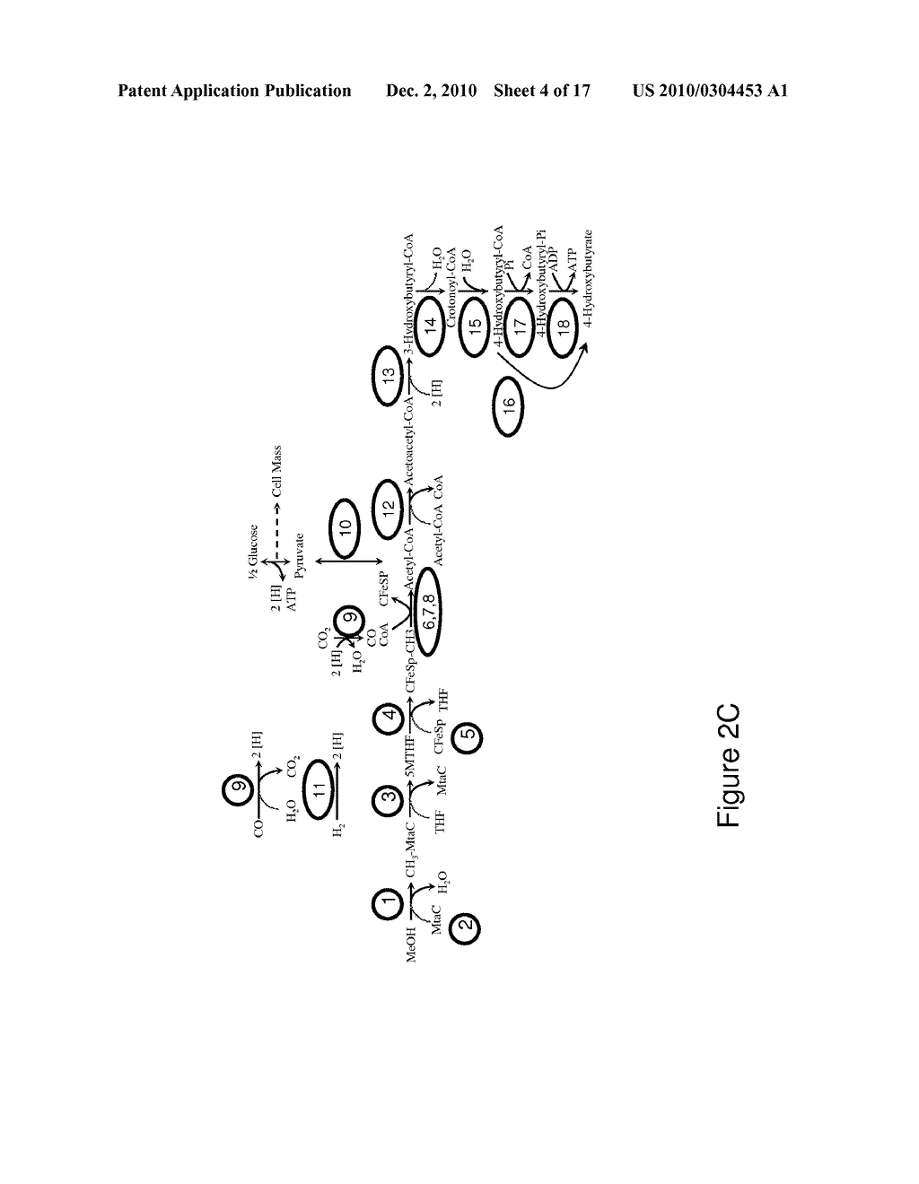 MICROORGANISMS AND METHODS FOR CONVERSION OF SYNGAS AND OTHER CARBON SOURCES TO USEFUL PRODUCTS - diagram, schematic, and image 05