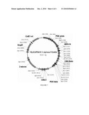 STABLE, FUNCTIONAL CHIMERIC CELLOBIOHYDROLASES diagram and image