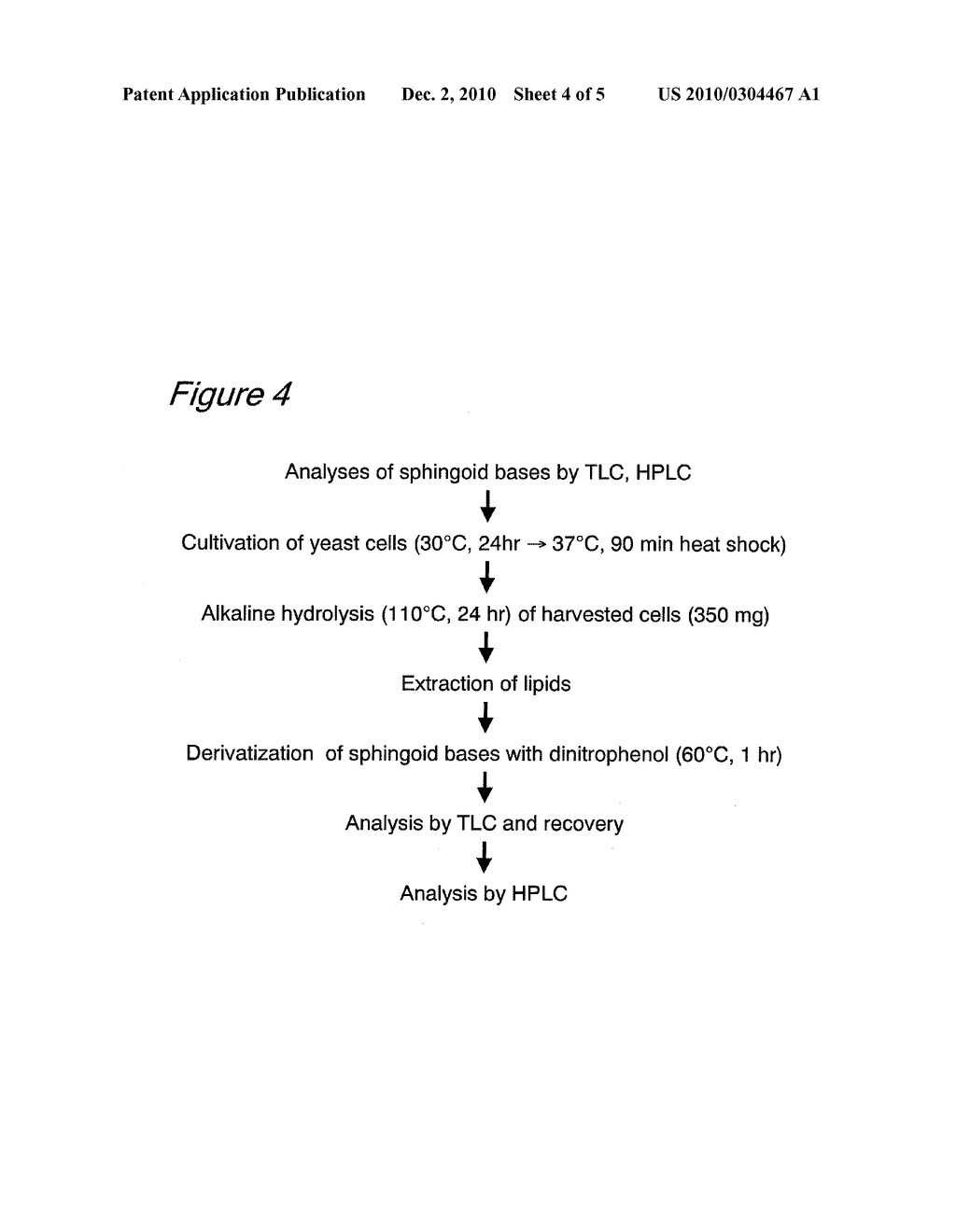 METHODS FOR PRODUCING HUMAN CERAMIDE USING YEAST TRANSFORMANTS - diagram, schematic, and image 05