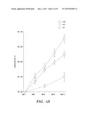 METHODS AND COMPOSITIONS FOR HOMOLOGOUS RECOMBINATION IN HUMAN CELLS diagram and image