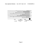 RULER ARRAYS diagram and image