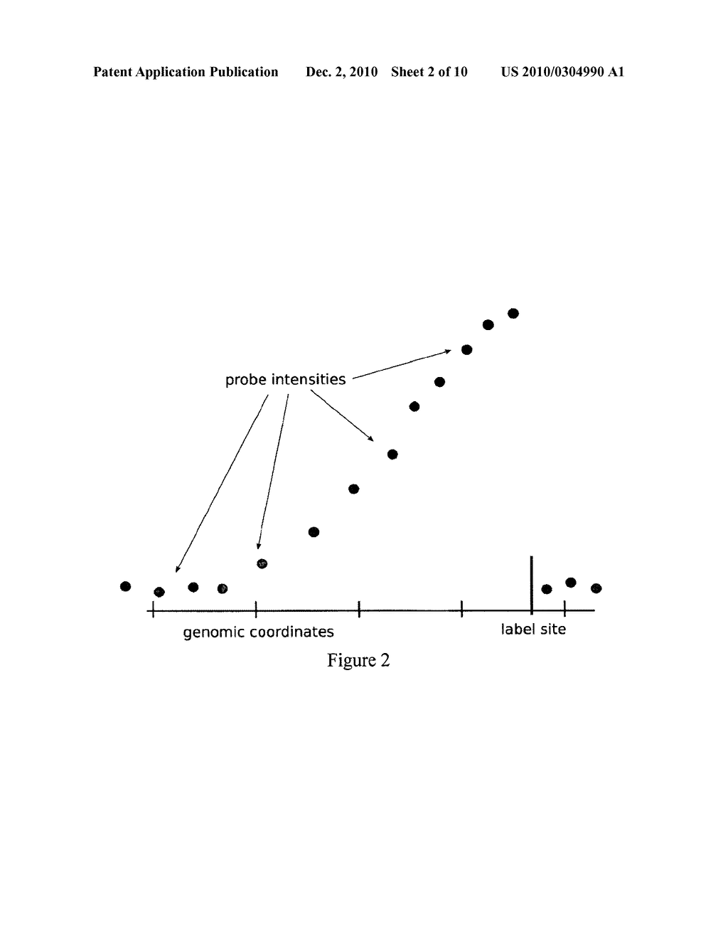 RULER ARRAYS - diagram, schematic, and image 03