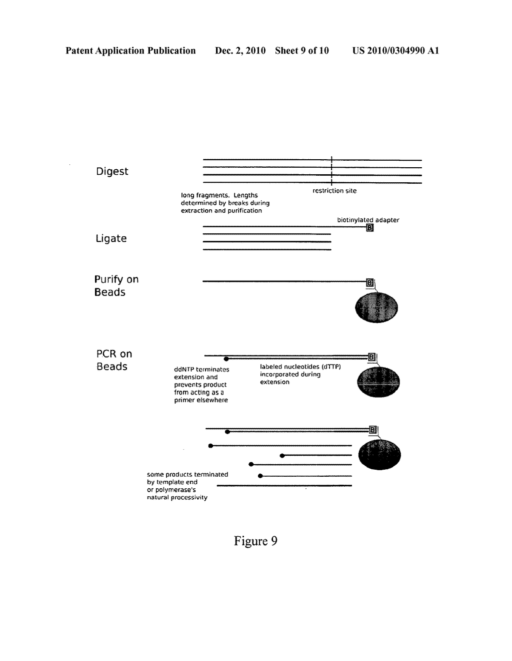 RULER ARRAYS - diagram, schematic, and image 10
