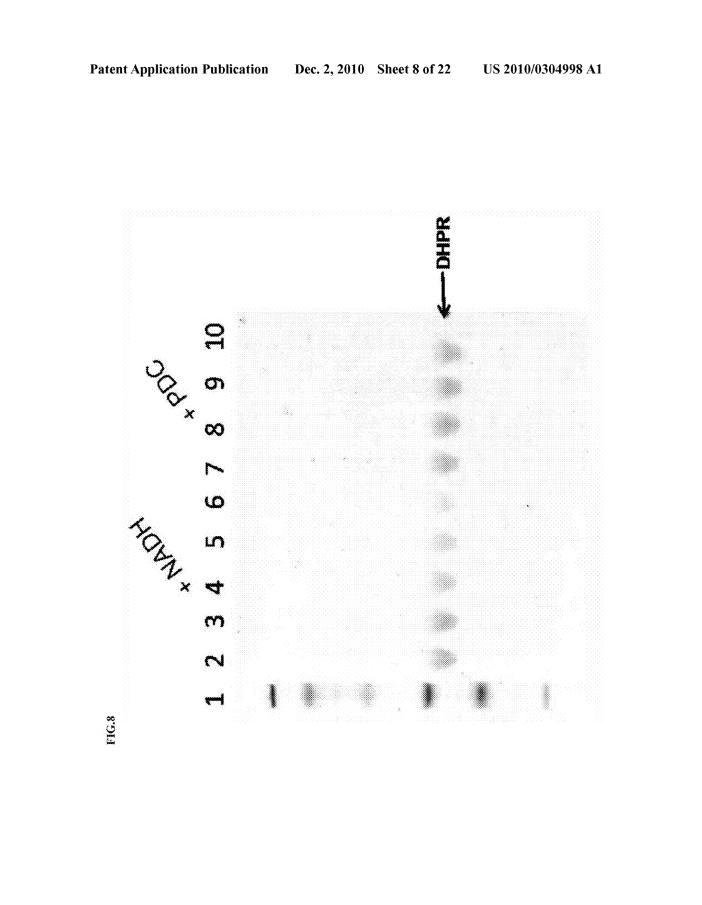 Chemical Proteomic Assay for Optimizing Drug Binding to Target Proteins - diagram, schematic, and image 09