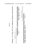 Reagents and Methods for Producing Bioactive Secreted Peptides diagram and image