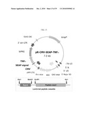 Reagents and Methods for Producing Bioactive Secreted Peptides diagram and image