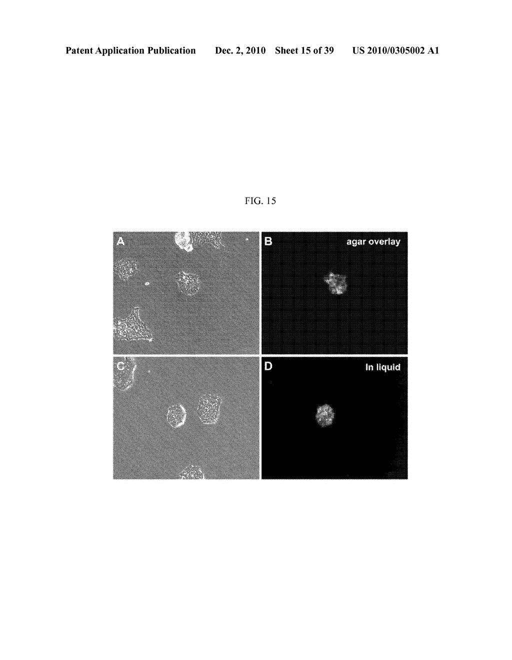 Reagents and Methods for Producing Bioactive Secreted Peptides - diagram, schematic, and image 16