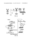 POLYNUCLEOTIDE BACKBONES FOR COMPLEXING PROTEINS diagram and image