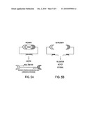 POLYNUCLEOTIDE BACKBONES FOR COMPLEXING PROTEINS diagram and image