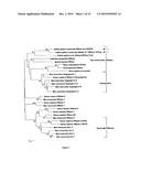 RNASE A PEPTIDES, FRAGMENTS AND USES THEREOF diagram and image