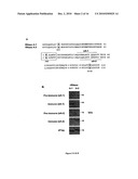 RNASE A PEPTIDES, FRAGMENTS AND USES THEREOF diagram and image