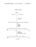 CYCLIC PEPTIDES COMPRISING AT LEAST ONE AZA-B3-AMINOACYL RESIDUE AND THEIR USES diagram and image