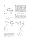 NANOPARTICLES OF THERAPEUTIC AGENTS HAVING LOW WATER SOLUBILITY diagram and image