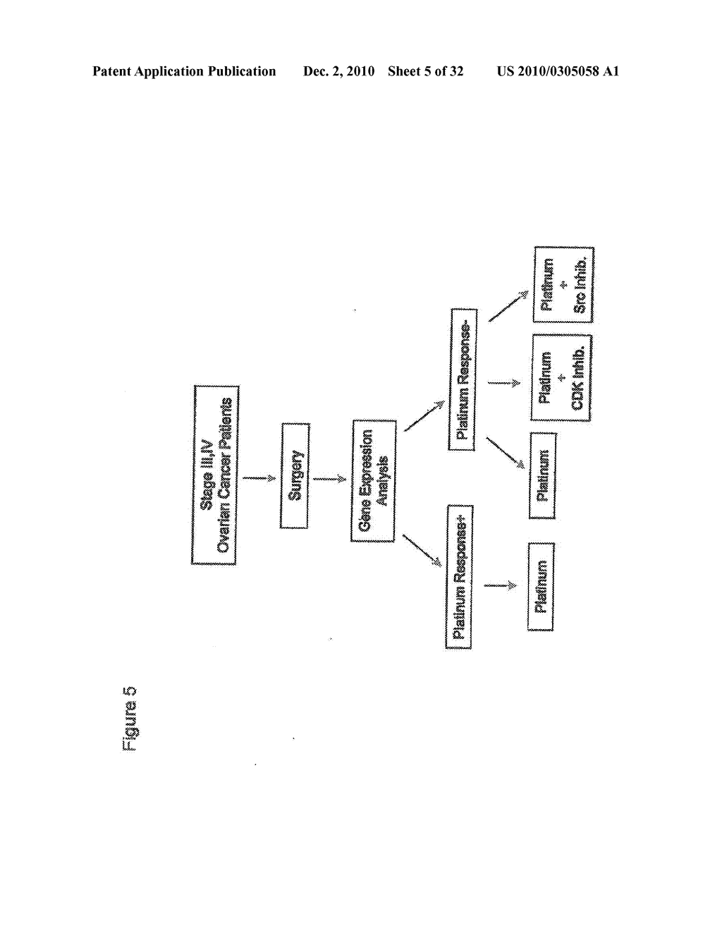 INDIVIDUALIZED CANCER TREATMENTS - diagram, schematic, and image 06