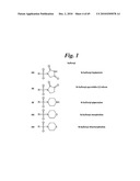 METALLO-OXIDOREDUCTASE INHIBITORS USING METAL BINDING MOIETIES IN COMBINATION WITH TARGETING MOIETIES diagram and image