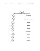 METALLO-OXIDOREDUCTASE INHIBITORS USING METAL BINDING MOIETIES IN COMBINATION WITH TARGETING MOIETIES diagram and image