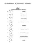 METALLO-OXIDOREDUCTASE INHIBITORS USING METAL BINDING MOIETIES IN COMBINATION WITH TARGETING MOIETIES diagram and image