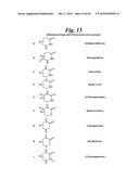 METALLO-OXIDOREDUCTASE INHIBITORS USING METAL BINDING MOIETIES IN COMBINATION WITH TARGETING MOIETIES diagram and image