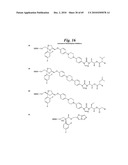 METALLO-OXIDOREDUCTASE INHIBITORS USING METAL BINDING MOIETIES IN COMBINATION WITH TARGETING MOIETIES diagram and image