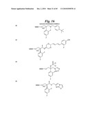 METALLO-OXIDOREDUCTASE INHIBITORS USING METAL BINDING MOIETIES IN COMBINATION WITH TARGETING MOIETIES diagram and image