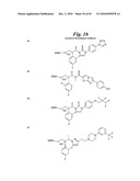 METALLO-OXIDOREDUCTASE INHIBITORS USING METAL BINDING MOIETIES IN COMBINATION WITH TARGETING MOIETIES diagram and image