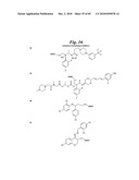 METALLO-OXIDOREDUCTASE INHIBITORS USING METAL BINDING MOIETIES IN COMBINATION WITH TARGETING MOIETIES diagram and image