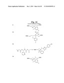 METALLO-OXIDOREDUCTASE INHIBITORS USING METAL BINDING MOIETIES IN COMBINATION WITH TARGETING MOIETIES diagram and image