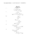 METALLO-OXIDOREDUCTASE INHIBITORS USING METAL BINDING MOIETIES IN COMBINATION WITH TARGETING MOIETIES diagram and image