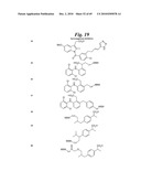 METALLO-OXIDOREDUCTASE INHIBITORS USING METAL BINDING MOIETIES IN COMBINATION WITH TARGETING MOIETIES diagram and image