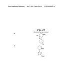 METALLO-OXIDOREDUCTASE INHIBITORS USING METAL BINDING MOIETIES IN COMBINATION WITH TARGETING MOIETIES diagram and image