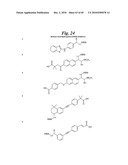 METALLO-OXIDOREDUCTASE INHIBITORS USING METAL BINDING MOIETIES IN COMBINATION WITH TARGETING MOIETIES diagram and image