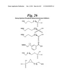 METALLO-OXIDOREDUCTASE INHIBITORS USING METAL BINDING MOIETIES IN COMBINATION WITH TARGETING MOIETIES diagram and image