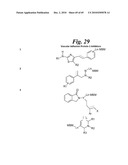 METALLO-OXIDOREDUCTASE INHIBITORS USING METAL BINDING MOIETIES IN COMBINATION WITH TARGETING MOIETIES diagram and image