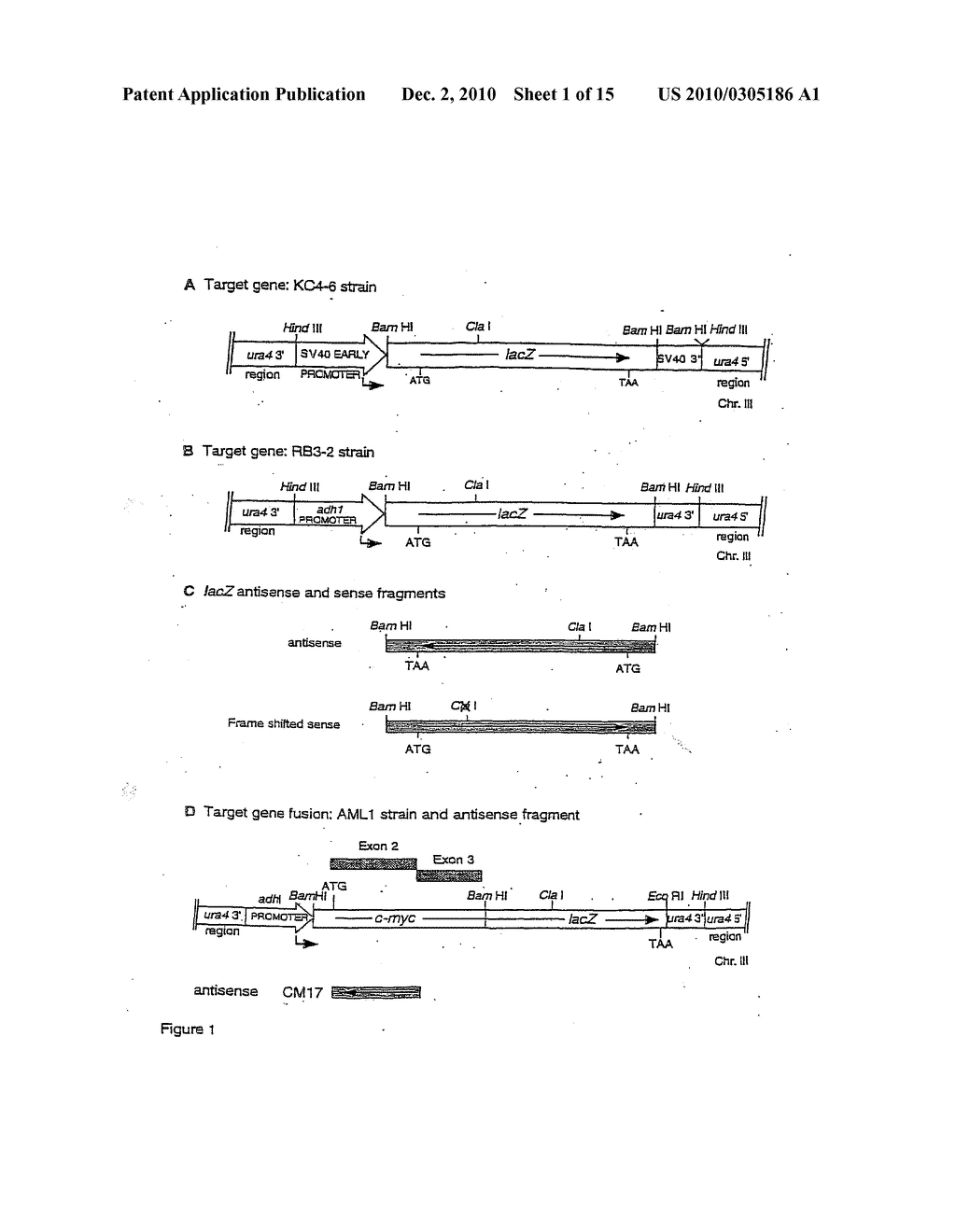 METHODS FOR MEDIATING GENE SUPPRESSION - diagram, schematic, and image 02