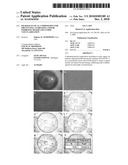 PHARMACEUTICAL COMPOSITION FOR PREVENTING, STABILISING AND/OR INHIBITING BLOOD AND LYMPH VASCULARIZATION diagram and image