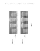 Protein-Containing Foams, Manufacture and Use Thereof diagram and image